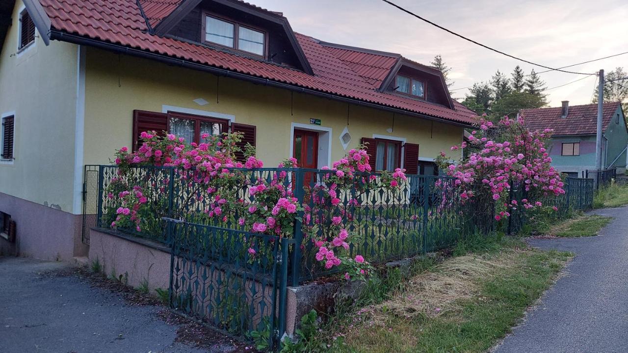 Kuca Za Odmor ,Erdelj 21 B Appartement Generalski Stol Buitenkant foto