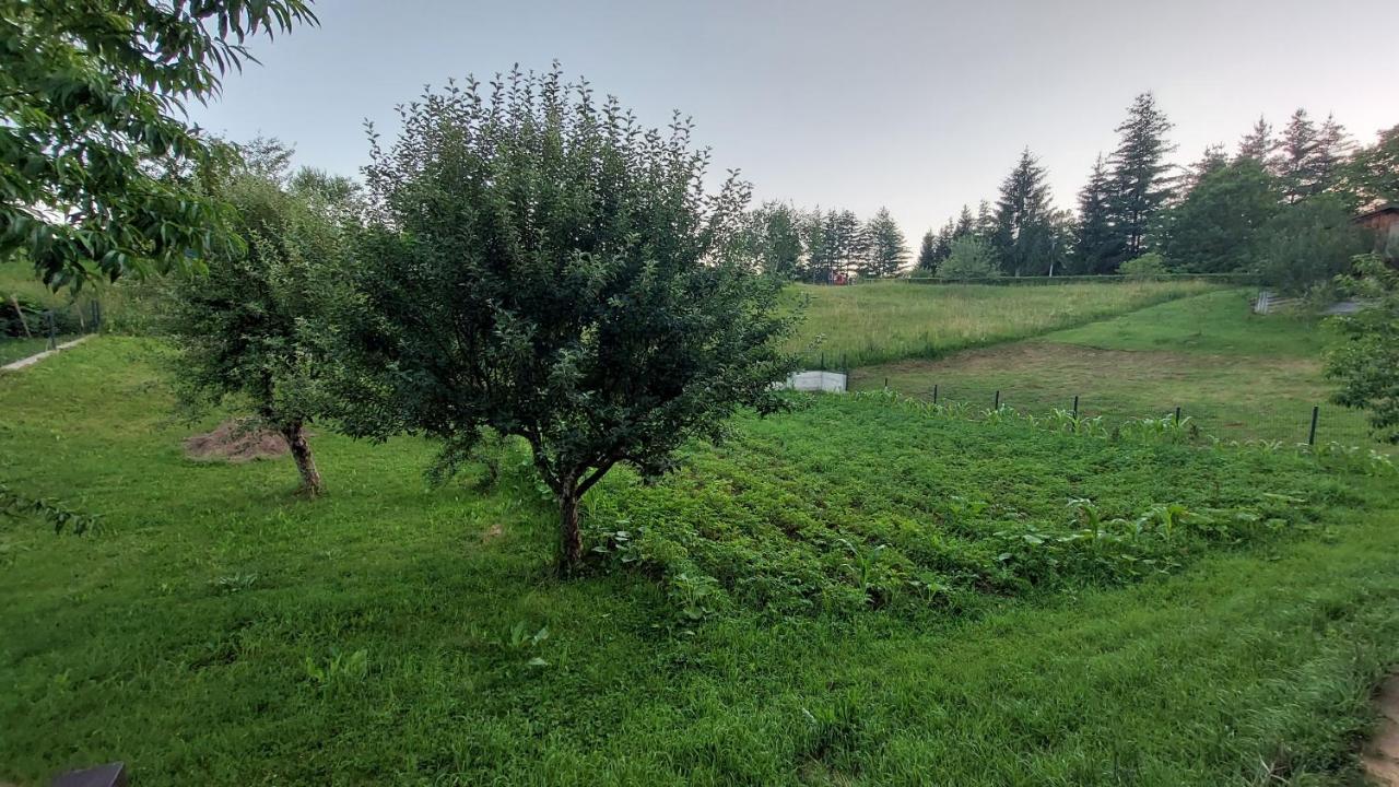 Kuca Za Odmor ,Erdelj 21 B Appartement Generalski Stol Buitenkant foto